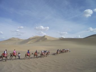 Camel ridi Dunhuang - 512